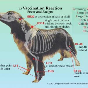 HealLearn Deck: Acupressure for Emergencies