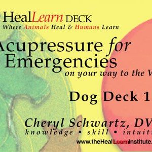HealLearn Deck: Acupressure for Emergencies